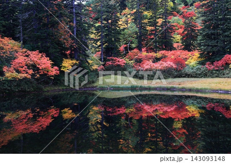 水面に映る紅葉 143093148