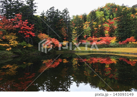 池に映る紅葉 池に映る紅葉 143093149