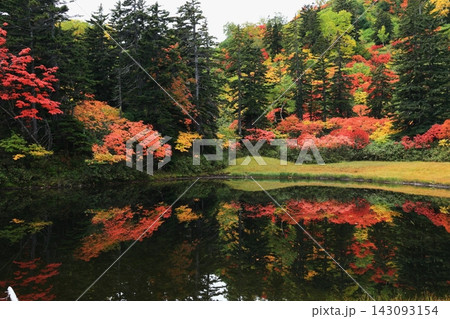 池に映る紅葉 池に映る紅葉 143093154