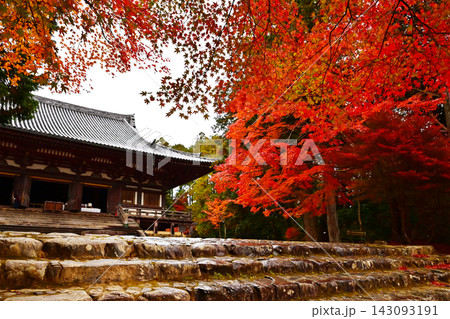 紅葉に包まれた神護寺　もみじと神護寺の風景　京都の紅葉の名所 143093191