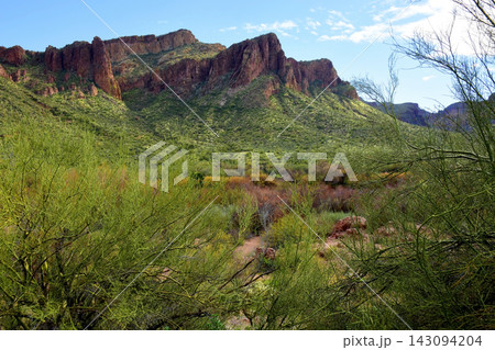 Salt River Recreation Area Arizona Salt River Recreation Area Arizona 143094204