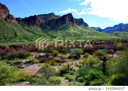 Salt River Recreation Area Arizona Salt River Recreation Area Arizona 143094207