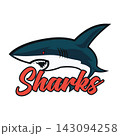 blue sharks logo with text space for your slogan 143094258