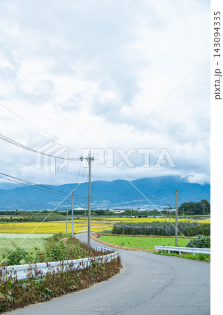 秋の農村風景 白いそば畑と黄金色の稲穂 143094335
