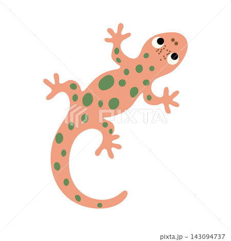 Cute hand-drawn spotted lizard gecko vector illustration. Trendy naive doodle design element. Cute hand-drawn spotted lizard gecko vector illustration. Trendy naive doodle design element. 143094737