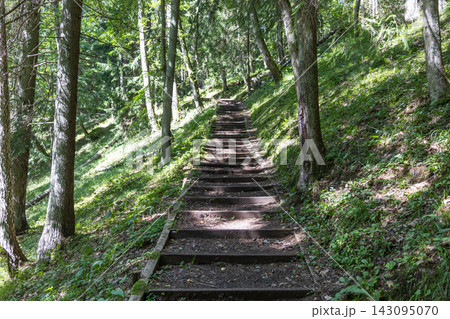 Wooden steps leading uphill on a hiking trail in forest Wooden steps leading uphill on a hiking trail in forest 143095070