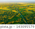 Aerial view of winding road cutting through lush green forest and golden sunlit fields  143095579