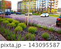 Modern apartment buildings with purple flowering plants and parked cars in foreground  143095587