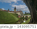 A view of Nesvizh Castle, the bridge, and the moat with water seen from behind an old tree. 143095751