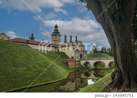 A view of Nesvizh Castle, the bridge, and the moat with water seen from behind an old tree. 143095751
