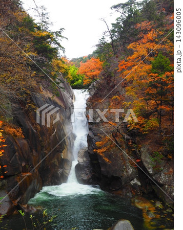 紅葉に彩られた仙娥滝 昇仙峡 縦構図 紅葉に彩られた仙娥滝 昇仙峡 縦構図 143096005
