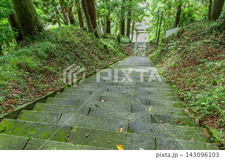 杉林に囲まれた靜神社の苔むした石段参道（栃木県那珂川町） 143096103