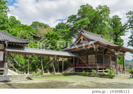 緑豊かな庭園に囲まれた馬頭院の境内(栃木県那珂川町) 緑豊かな庭園に囲まれた馬頭院の境内(栃木県那珂川町) 143096111
