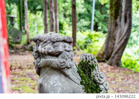 神社の狛犬と朱色の社殿 神社の狛犬と朱色の社殿 143096222
