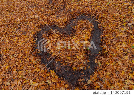 Heart shape carefully arranged from colorful fallen autumn leaves on the ground in peaceful outdoor setting. Rich leaf textures and seasonal colors are highlighted by soft daylight handmade design 143097191