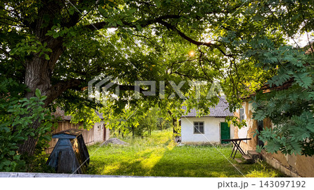 Rural village courtyard with old houses and lush green trees 143097192
