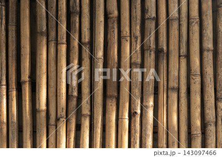 Front view of natural sunlit bamboo fence panels showing vertical stalks 143097466