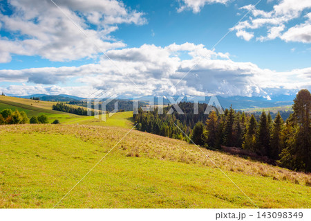 hillside of mountain range with coniferous forest and meadow. spruce trees on the green grassy hill. Carpathian countryside in autumn season. dynamic coudscape over mountain and forest hillside of mountain range with coniferous forest and meadow. spruce trees on the green grassy hill. Carpathian countryside in autumn season. dynamic coudscape over mountain and forest 143098349