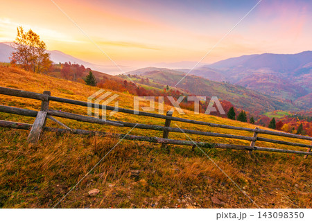 autumn landscape. fence near hillside meadow in Carpathian mountains. few trees of forest on a grassy slope in morning light 143098350