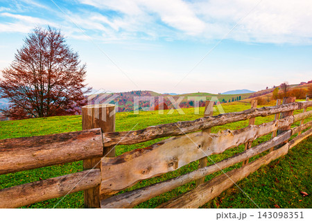 autumn landscape. fence near hillside meadow in Carpathian mountains. few trees of forest on a grassy slope in morning light autumn landscape. fence near hillside meadow in Carpathian mountains. few trees of forest on a grassy slope in morning light 143098351