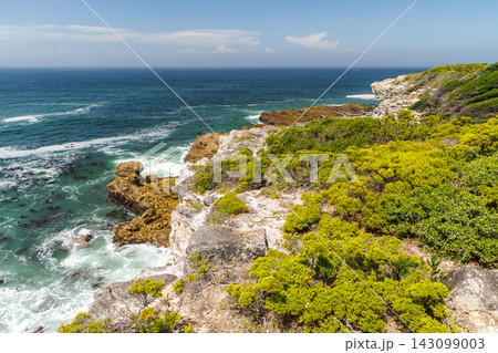 Scenic ocean coast in South Africa Scenic ocean coast in South Africa 143099003