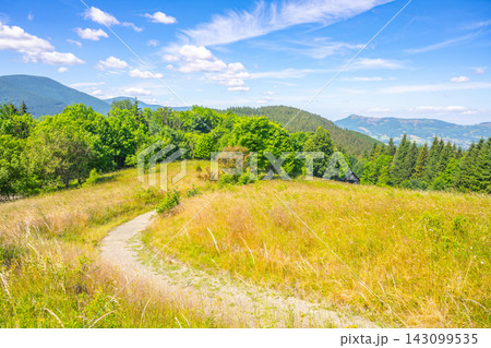 A trail winds through grass and trees in the Beskydy Mountains of Czechia. The sun shines above, lighting up the landscape. Mountains rise in the distance under a blue sky. A trail winds through grass and trees in the Beskydy Mountains of Czechia. The sun shines above, lighting up the landscape. Mountains rise in the distance under a blue sky. 143099535