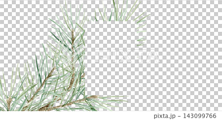 Pine branches botanical watercolor frame isolated illustration. Hand drawn evergreen twigs template with copy space for Christmas holidays, winter decor and New Year greeting cards. Conifer border. Pine branches botanical watercolor frame isolated illustration. Hand drawn evergreen twigs template with copy space for Christmas holidays, winter decor and New Year greeting cards. Conifer border. 143099766