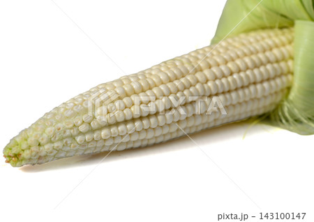 Commercial food photography of a close-up white sweet corn kernel pattern against a white background Commercial food photography of a close-up white sweet corn kernel pattern against a white background 143100147
