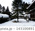 冬の永平寺の松 143100891