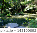 穂高神社の池 143100892