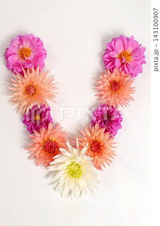 Letter V created from real, fresh dahlia flowers. Floral typography concept, floral font with colorful, vibrant flowers,A unique collection of letters and numbers for design. Letter V created from real, fresh dahlia flowers. Floral typography concept, floral font with colorful, vibrant flowers,A unique collection of letters and numbers for design. 143100907