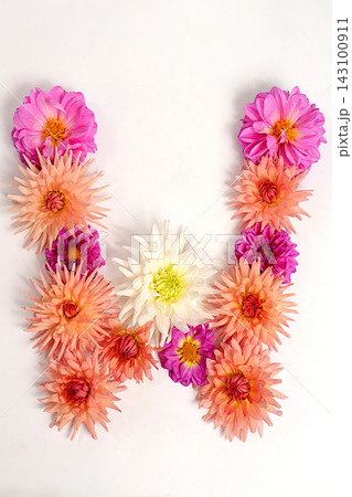 Letter W created from real, fresh dahlia flowers. Floral typography concept, floral font with colorful, vibrant flowers,A unique collection of letters and numbers for design. Letter W created from real, fresh dahlia flowers. Floral typography concept, floral font with colorful, vibrant flowers,A unique collection of letters and numbers for design. 143100911