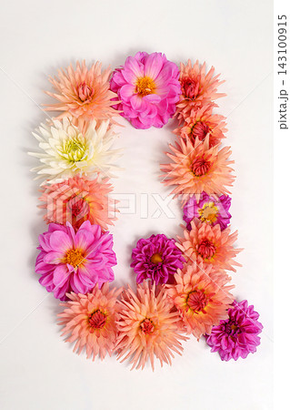 Letter Q created from real, fresh dahlia flowers. Floral typography concept, floral font with colorful, vibrant flowers,A unique collection of letters and numbers for design. 143100915
