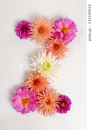 Letter Z created from real, fresh dahlia flowers. Floral typography concept, floral font with colorful, vibrant flowers,A unique collection of letters and numbers for design. Letter Z created from real, fresh dahlia flowers. Floral typography concept, floral font with colorful, vibrant flowers,A unique collection of letters and numbers for design. 143100918