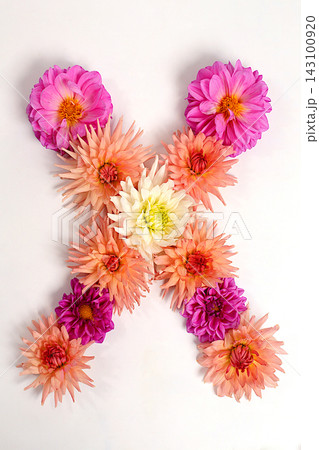 Letter X created from real, fresh dahlia flowers. Floral typography concept, floral font with colorful, vibrant flowers,A unique collection of letters and numbers for design Letter X created from real, fresh dahlia flowers. Floral typography concept, floral font with colorful, vibrant flowers,A unique collection of letters and numbers for design 143100920