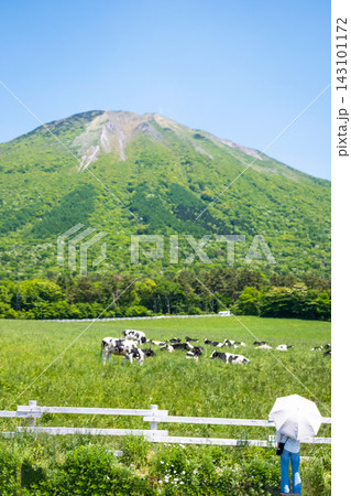 新緑の大山 大山まきばみるくの里付近 新緑の大山 大山まきばみるくの里付近 143101172
