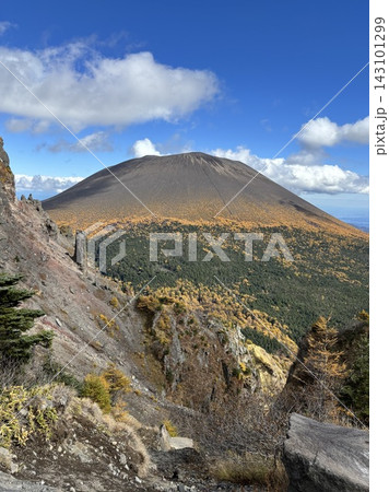 浅間山の紅葉と黄金色に染まるカラマツの山肌 143101299