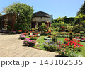 バラ園のアーチが美しいバラの花 143102535