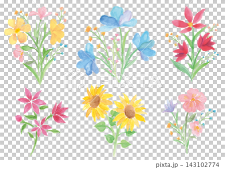 一組6幅不同顏色的水彩手繪花卉插圖。 143102774