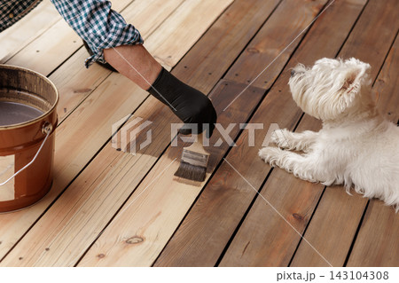 A gloved hand applies protective oil to wooden deck boards beside a dog, illustrating terrace refinishing, outdoor maintenance, and home improvement. 143104308