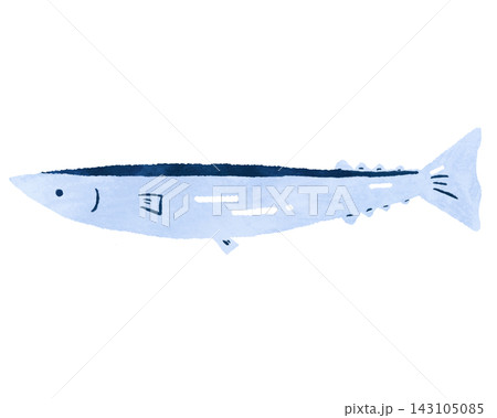 鮮度の良いサンマのイラスト 鮮度の良いサンマのイラスト 143105085
