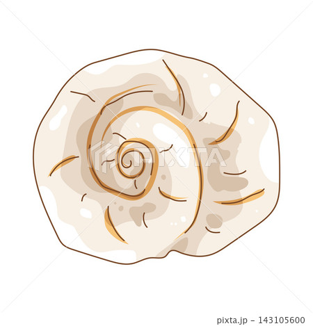 Illustration of spiral shell Illustration of spiral shell 143105600
