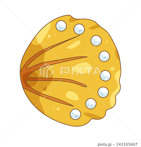 Illustration of golden shell Illustration of golden shell 143105607