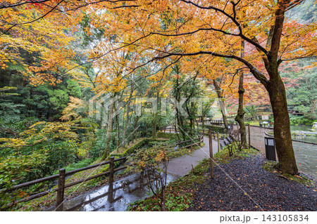 宮崎県　紅葉に染まる高千穂峡 143105834