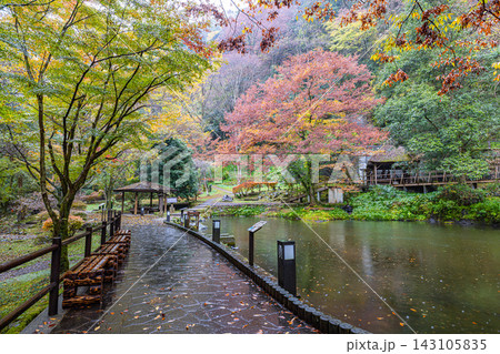 宮崎県 紅葉に染まる高千穂峡 宮崎県 紅葉に染まる高千穂峡 143105835