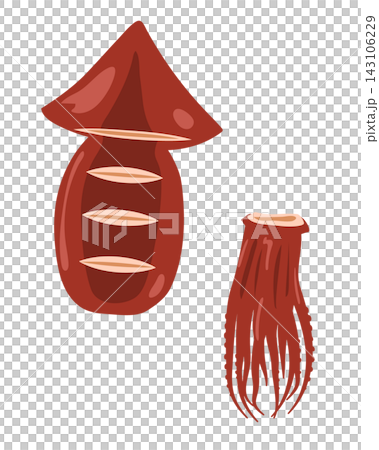 イカ焼きのイラスト 143106229