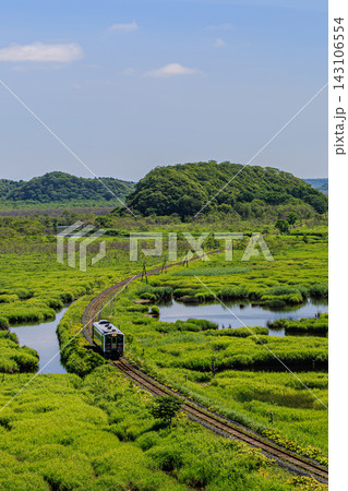 根室本線花咲線が駆け抜ける夏めく別寒辺牛湿原の雄大なロケーション 根室本線花咲線が駆け抜ける夏めく別寒辺牛湿原の雄大なロケーション 143106554