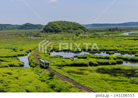 北海道厚岸町 広大な初夏の別寒辺牛湿原と緑の中を疾走する花咲線列車 北海道厚岸町 広大な初夏の別寒辺牛湿原と緑の中を疾走する花咲線列車 143106555