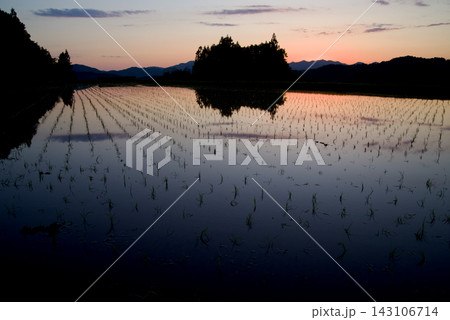 田植え後の夕景 青い水田 田植え後の夕景 青い水田 143106714