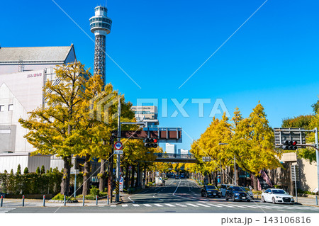 【神奈川県】横浜の山下公園通りに並ぶ美しい銀杏並木 143106816